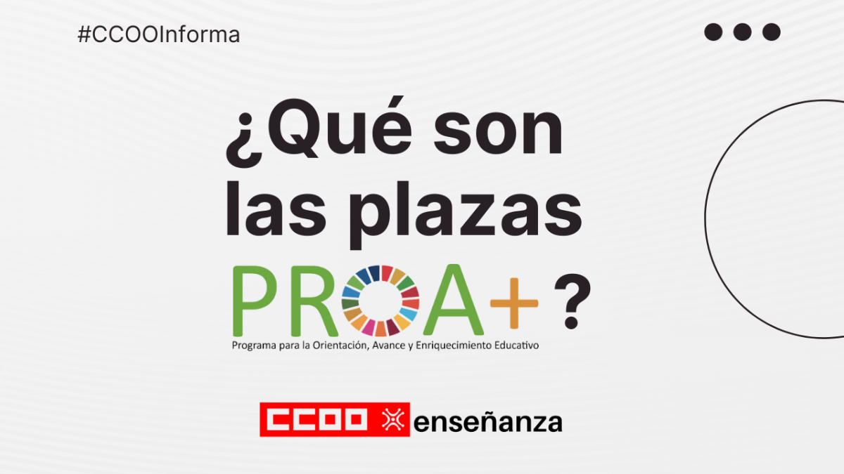¿Qué son las plazas PROA+?
