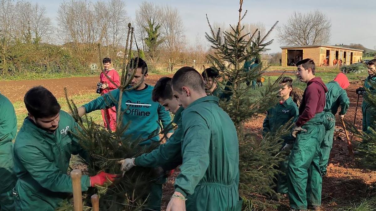La Formación Profesional en el medio rural