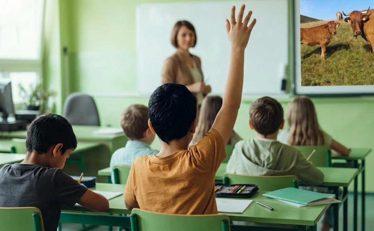 Alumnado participando en un aula.